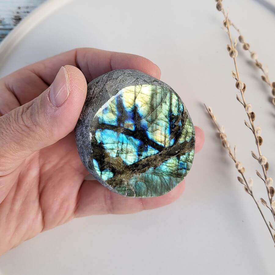 Labradorit in Emu Egg-Schliff