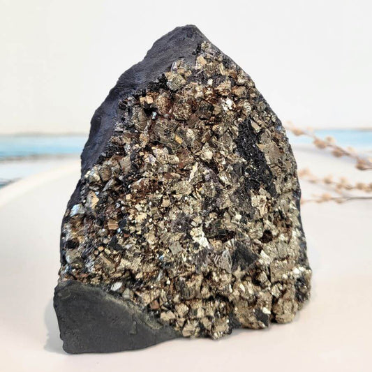 Nahaufnahme eines Rohsteins aus Schungit mit Pyritkristallen auf der Vorderseite